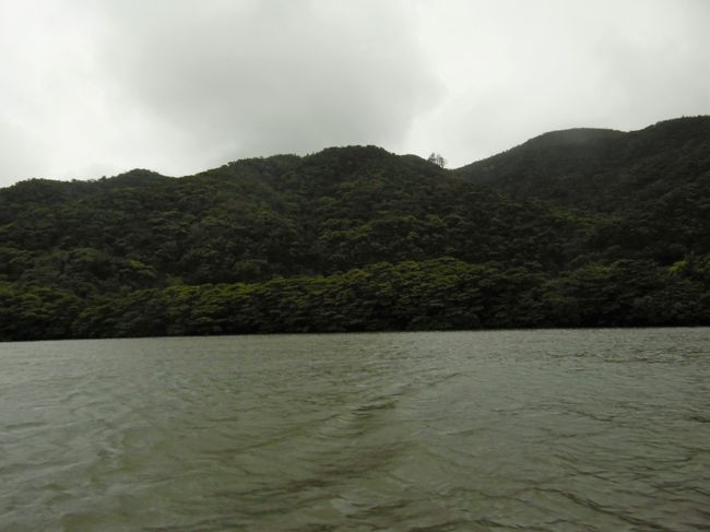 河口から約６キロ上流のこの辺りには、かつて一つの集落があったという。<br />漢字で「稲葉」と書いたそうだ。