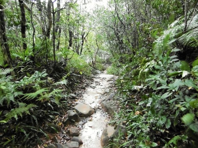 滝への道は一本道ですから間違うことはありません。<br />ゆっくり歩いても往復２時間あれば、戻れるでしょう。<br />１２時に迎えにきますから、気をつけて行ってきてくださいと言われた。<br /><br />ガイド氏と何か話している外国人を追い越して、二人でどんどん道を進んだ。<br /><br />と。。。後ろからやって来るはずの三人が来ないではないか(^_^;)