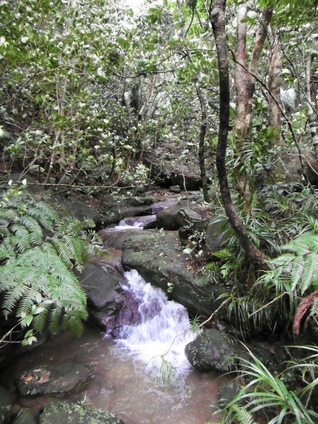 後で知ったことだが、イタリア人一行の泊まっている宿から遊覧船乗り場に連絡が入ったらしい。