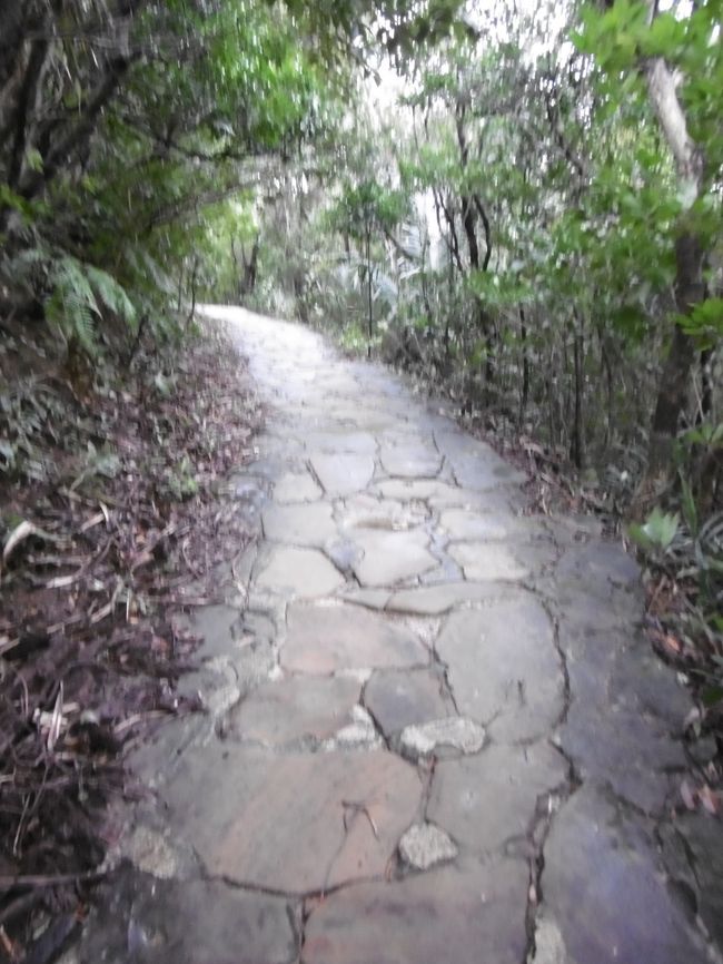 ガイド氏が船着き場で彼らと話していたのは、そういうことだったらしい。