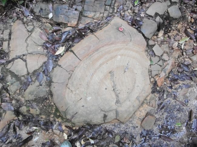 フェリーが台風以外で欠航したことはないと、ホテルでもガイド氏も言っていたのに。