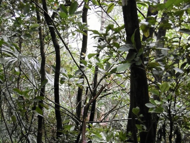 完全に他に人はいないということが決定的となって、私は内心何度か戻ろうと思ったけれど。。。