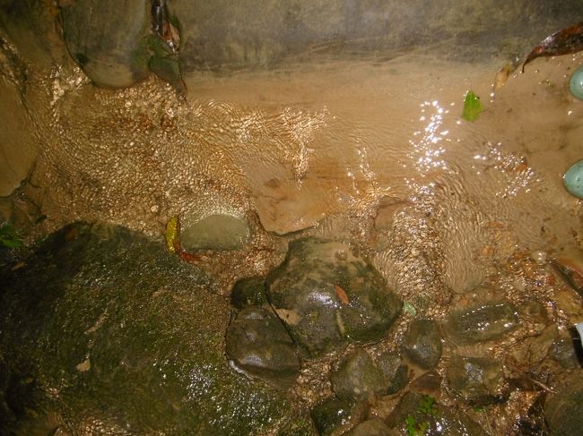 乗船場で長靴を借りたから良かったものの、運動靴なんかでは、足下はとうの昔にビショ濡れだっただろう。