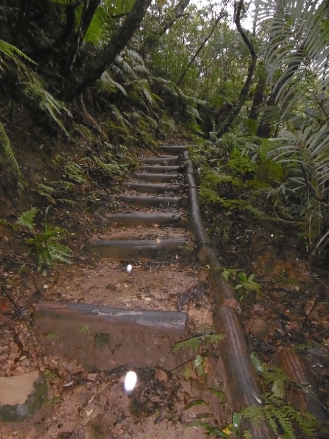 こんな所にまで人の手が及んで、歩きやすいようにしてくれてるんですね。<br /><br />この後「展望台」という矢印が見えて、ホッとする。<br />それなのに‘写真を撮りそびれるなんて、疲れてるということだったかも。