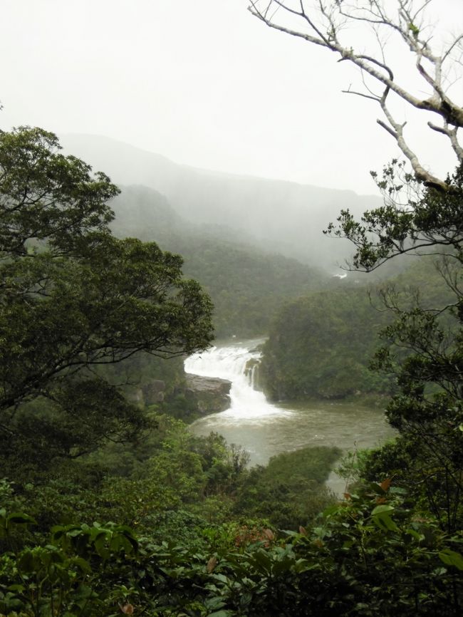 そして１０時３７分、ついに「マリユドゥの滝」を見ることができた！<br />展望台からの眺めで、すぐ傍で見たわけではないけれど、充分満足！
