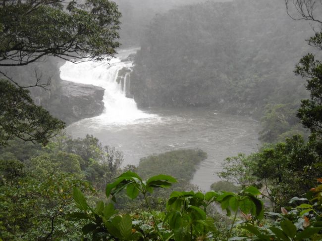 雨と風で、霧がかかってぼんやりしていたが、ま、仕方ないでしょう！