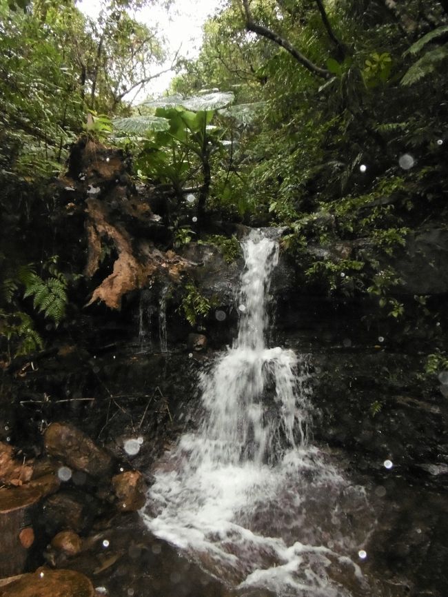 さらにこんな小滝を幾つも見ながら、進んで行くと。。。