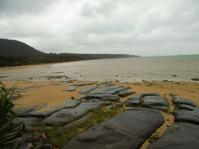 性懲りもなく浜辺に降りてみるが、相変わらずの強風と雨で、沖縄の碧い海を見ることができなかった。