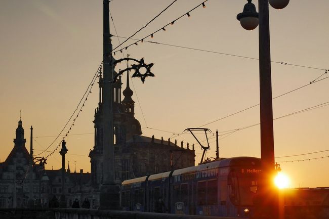 逆光のトラム。