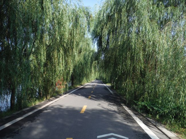 湖の周りをぐるっと回って引き返す。