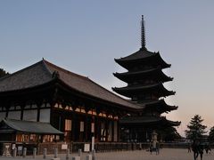 帰りはまた歩いてJR奈良駅へ。
途中で夕焼け空が綺麗だったので、興福寺へ寄り道しました。
昼間とはまた違った表情が見られてよかったです。