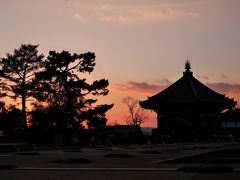 興福寺の八部衆もとても好きなので、また別の日に見に行きたいな。