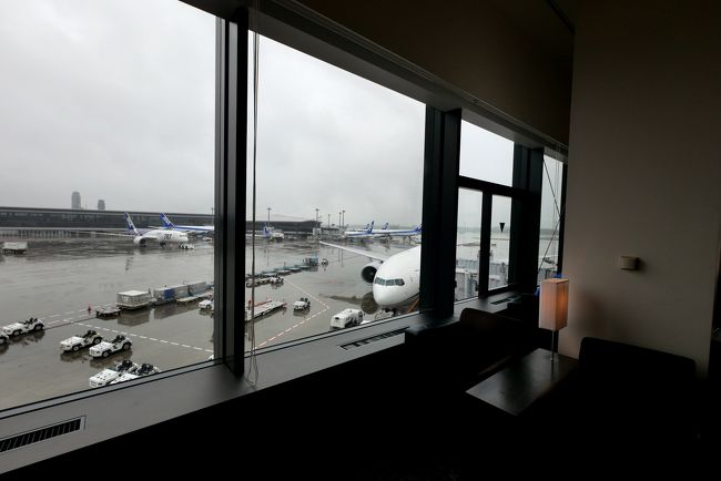 同伴者も初めてのラウンジだったが，やはり途中で買い物がしたくなり出ていく．まあそうだよね．