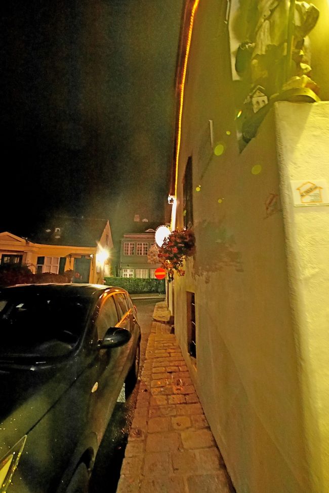 またHeiligenstadter Strasse/Grinzinger Strasseで降りるつもりが手前のHeiligenstädter Strasse/Halteraugasseで降りてしまう．迷いながらGrinzingに向かう．小雨が降っている