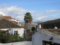 ぐるりと巡っている城壁の上を歩けるそうです。
