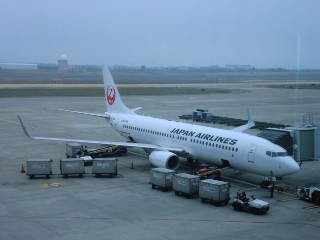 JAL B737-800 ビジネスクラス搭乗記・仁川-成田(JL954) + ソウル JAL B737-800 ビジネスクラス搭乗記・仁川-成田(JL954) + ソウル