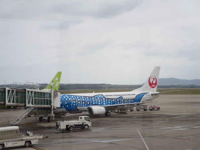 石垣島空港に到着。<br />お隣は、青いジンベイザメジェット。<br />あの機体が良かったなぁ〜。<br />関空には、就航してないんだよね。