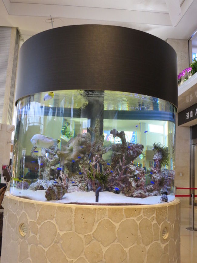 南国アピールの水槽。