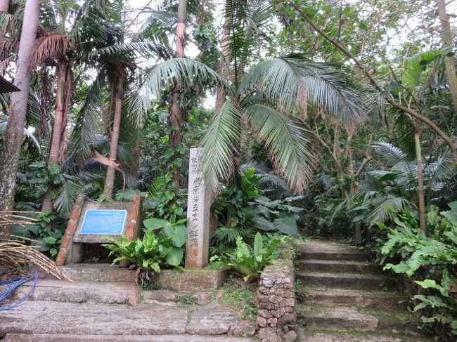 まず最初に向かったのは、「米原ヤエヤマヤシ群落」。