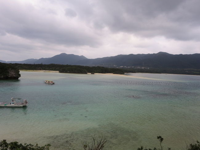 残念なエメラルドグリーン・・・・。