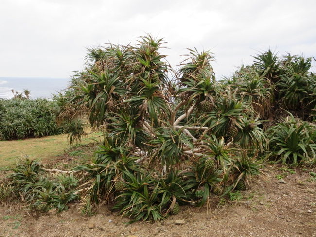 ん？なんかなっている？