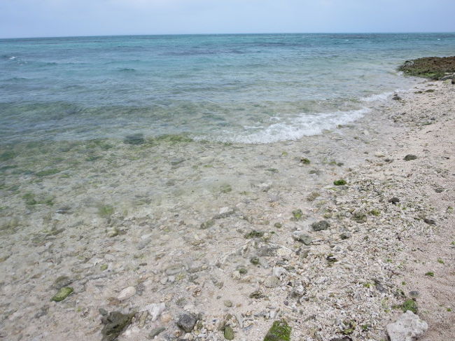 海の透明度が凄いです。