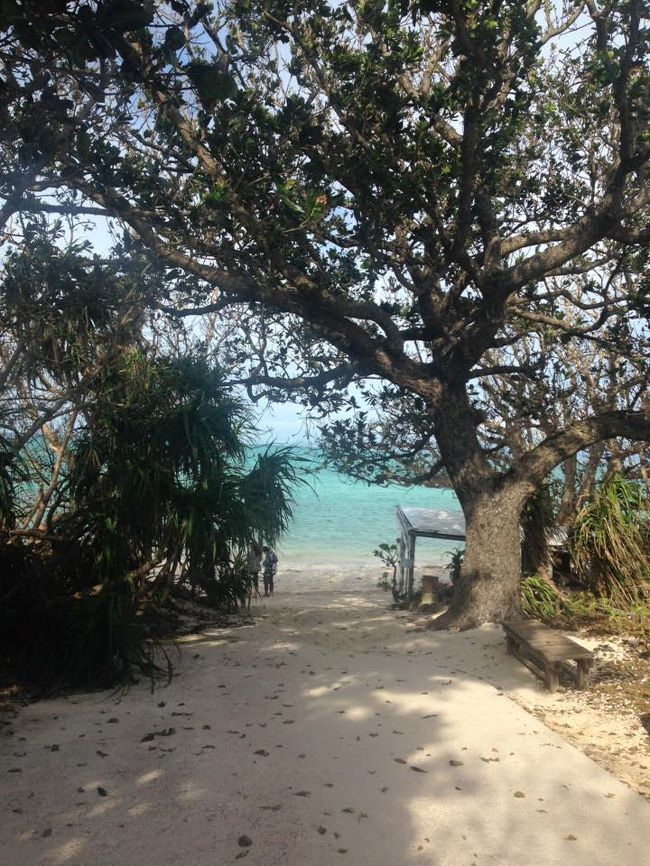 しばらく北上してコンドイビーチに到着！