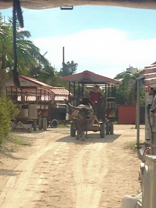 のんびりゆったり。