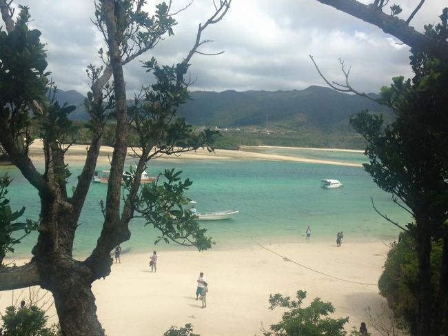 午後はバスに乗って島内観光へ出発です。<br />定番の川平湾に到着！！<br /><br />少し曇ってたけど綺麗な景色でした。