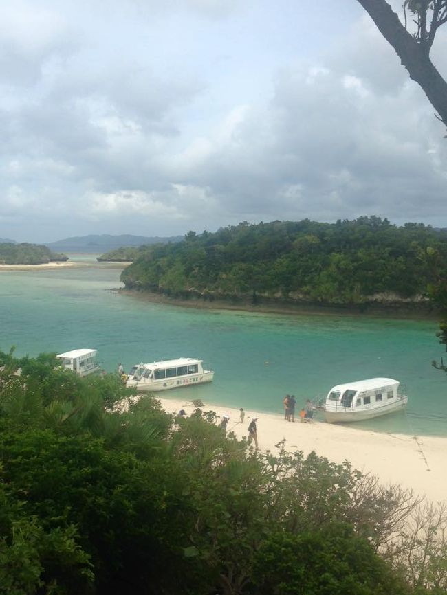 とてもきれい！