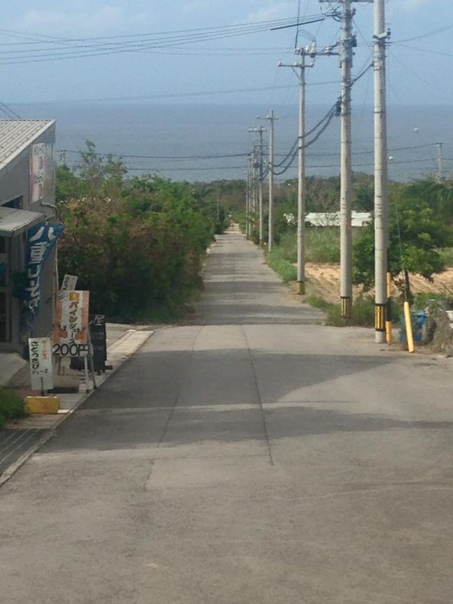 サトウキビ畑の中のまっすぐな道！<br />懐かしいようなワクワクするような…素敵な景色です。<br /><br />ホテルに戻りバタンキュー。<br />今日は結構動きました〜。