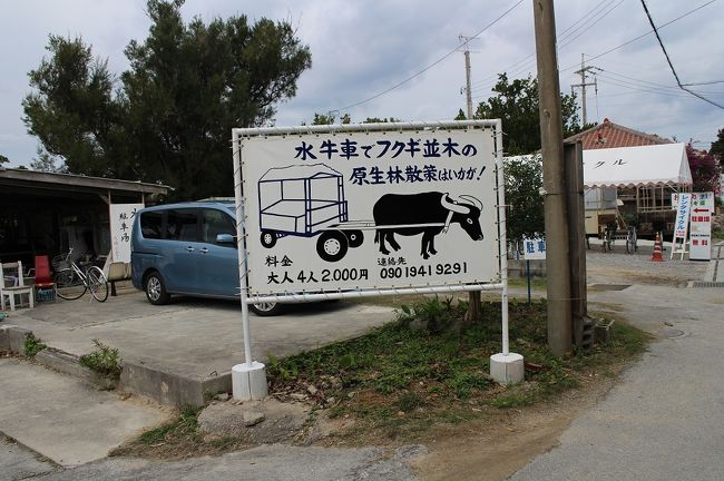 フク木並木に向かいます。