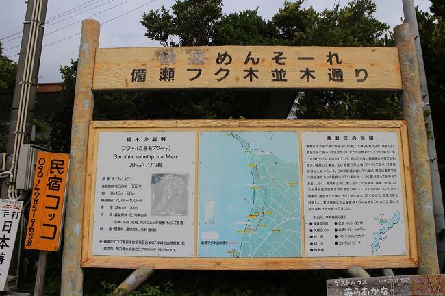 フク木並木に行く前にちょっと早いお昼ご飯です♪