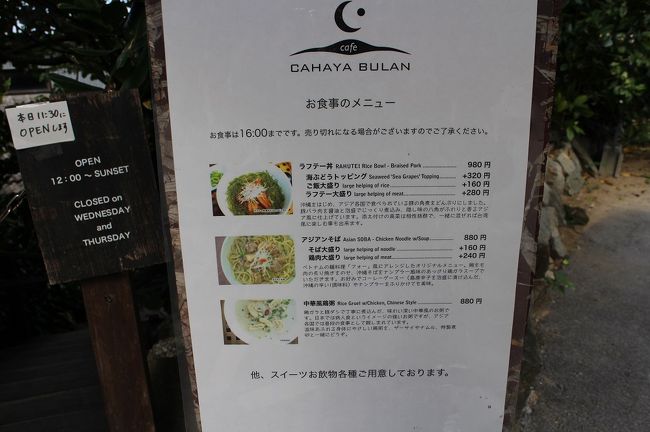 チャハヤブランです。<br /><br />