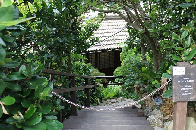 この下にお店があります。