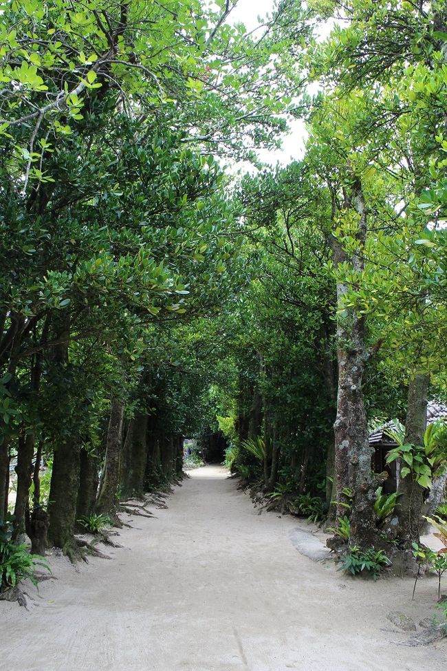 静かです、何故か懐かしい雰囲気が。