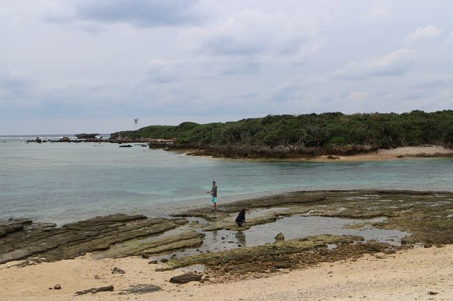 終点は磯遊びができそうな海岸です。