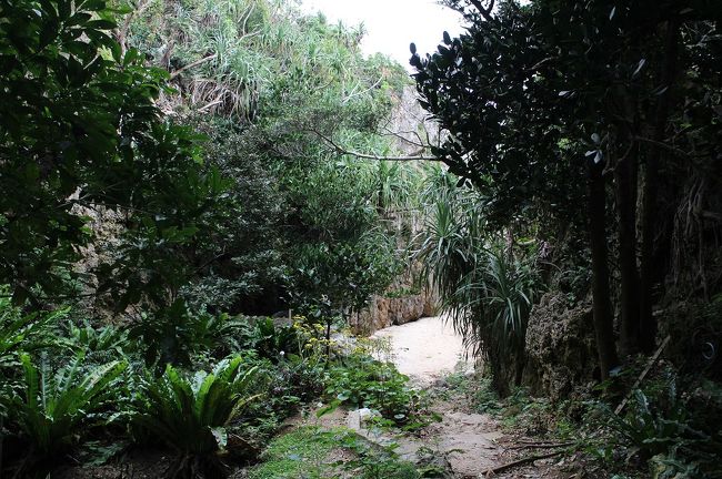 見えてきました。