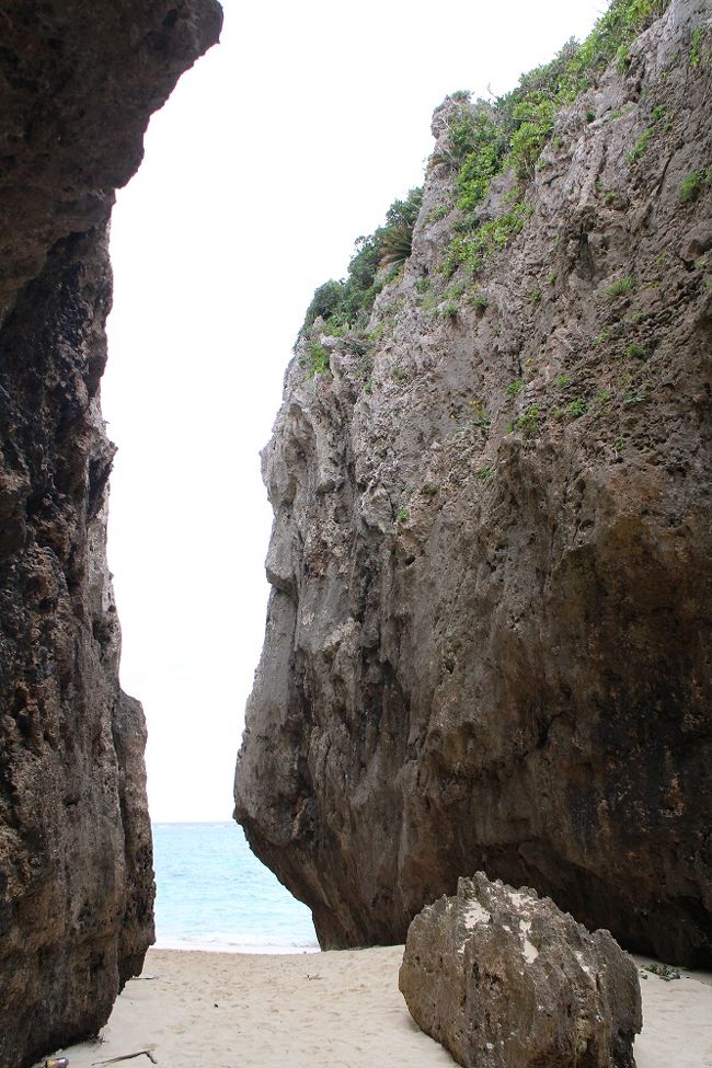 なかなか迫力があります。