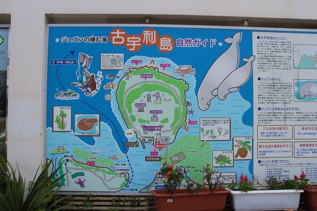 ジュゴンちゃんがいるんですね　＠＠<br />