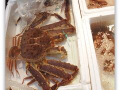 【最後の築地市場】

ただ、ただ眺めるべし！