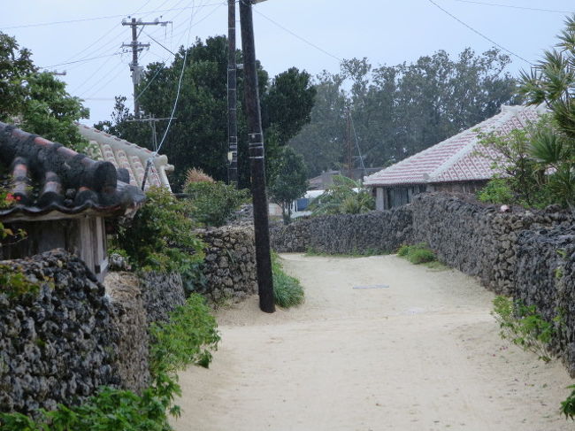 小雨の降る中ですが、散策してみましょう。<br />竹富島は、サンゴ礁が隆起してできた島だそうで、塀はもちろんサンゴで作っています。<br />白い道は、住民の皆さんが朝、掃き清めているそうです。