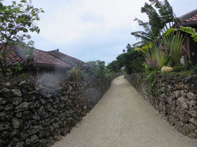 雨が激しくなってきて、カメラのレンズがヤバい。