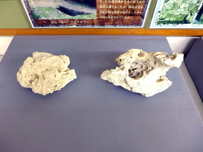 沈水サンゴ礁堆積物（ウミイシ）