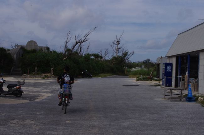 赤崎海岸に到着。