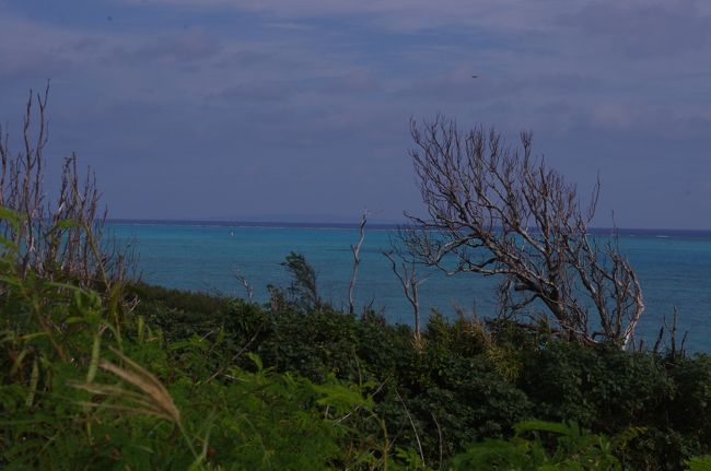 海見てるだけで癒されます