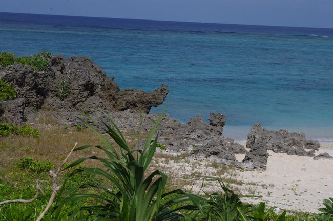 １１月だけど、暑い暑い！！海を見ながら水分補給。まだまだ与論は夏です。