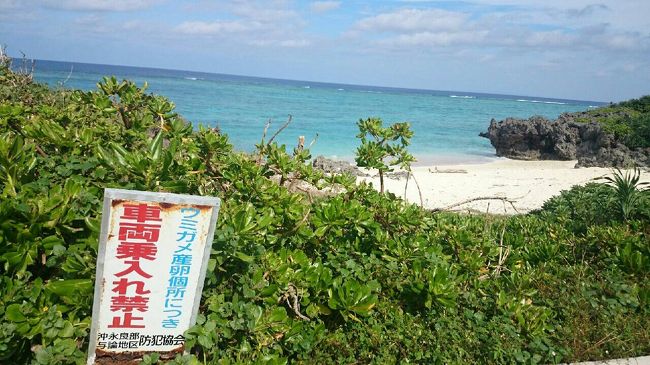 与論はうみがめの産卵地。<br />沖にでればうみがめうじゃうじゃいるそうです。