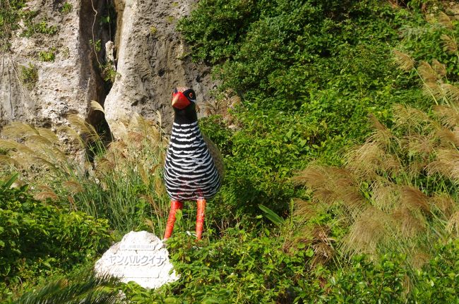 ヤンバルクイナいましたよ。