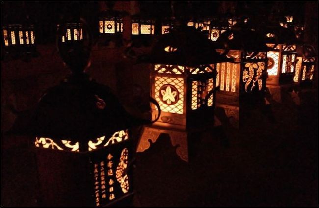 暗い部屋の中で灯されるいくつもの燈籠は、とても幽玄な雰囲気。